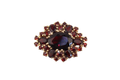 Bohemian Garnet Brooch